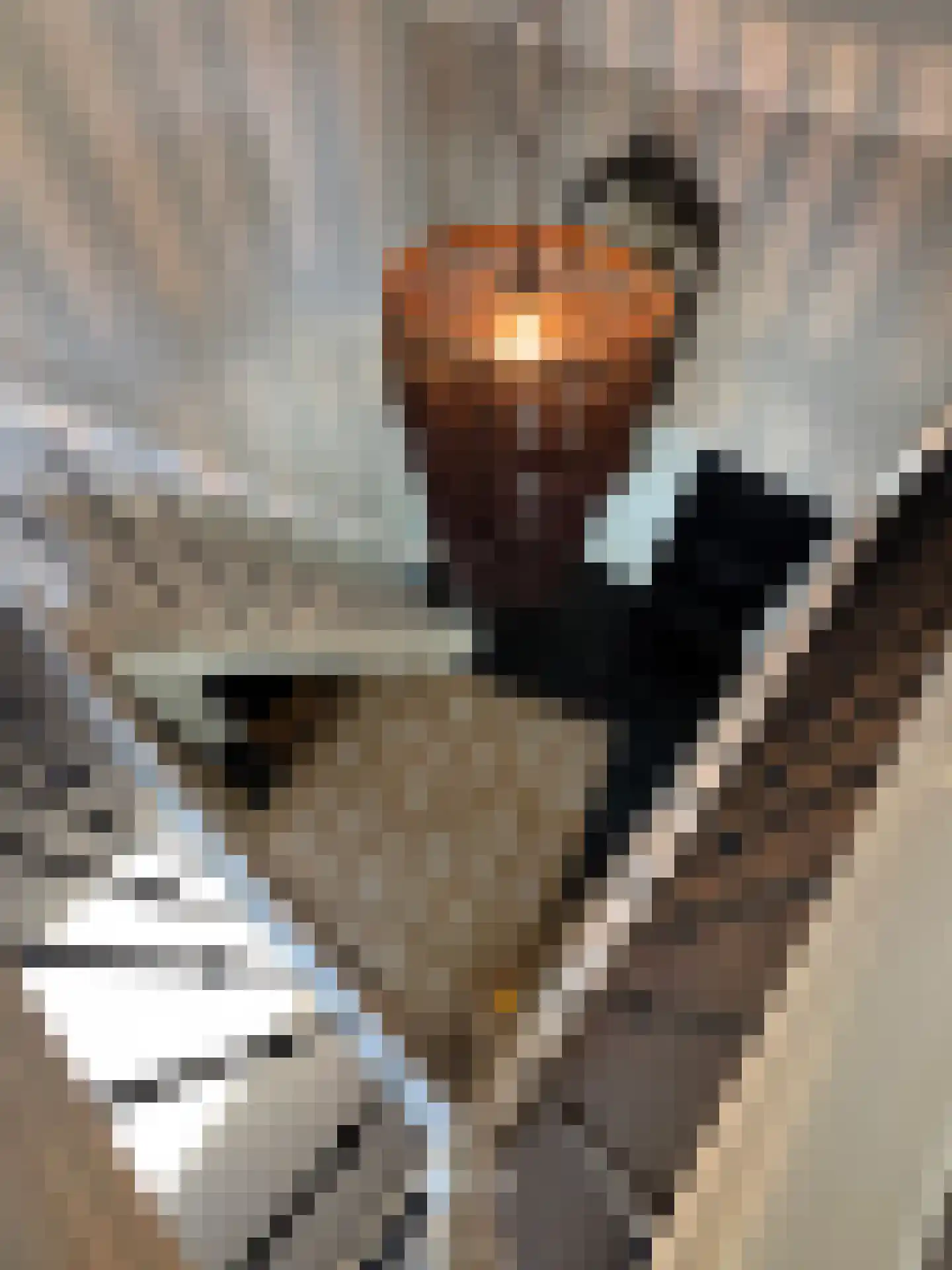 Meeuwenweg 22 Zuidwolde thumbnail 54