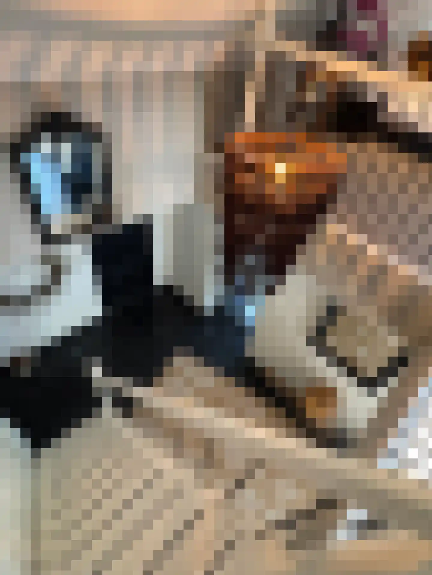 Meeuwenweg 22 Zuidwolde thumbnail 55