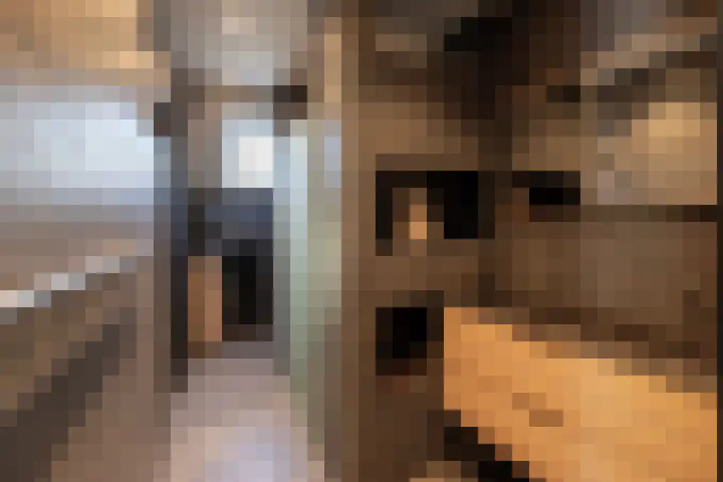 Meeuwenweg 22 Zuidwolde thumbnail 57