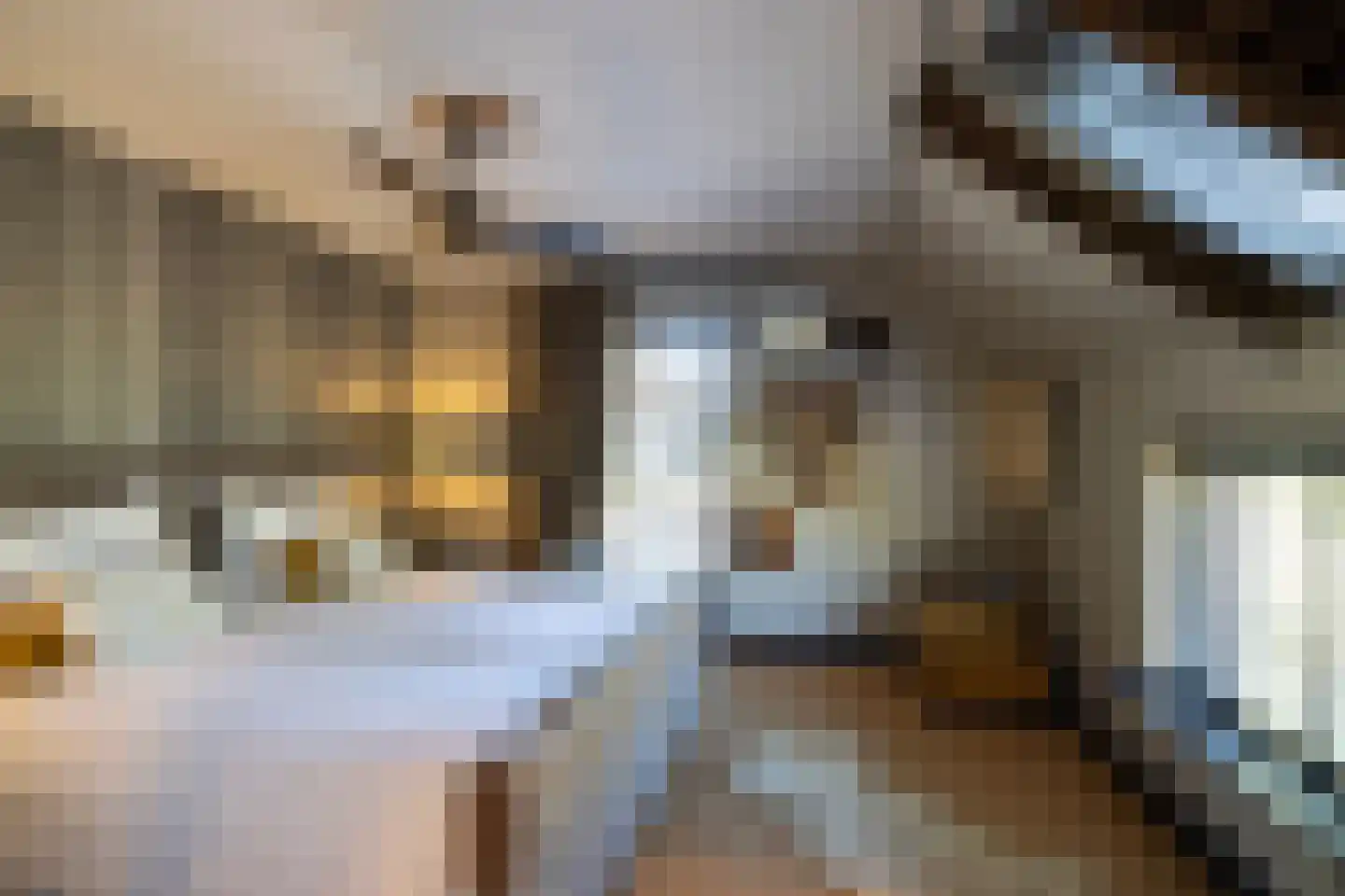 Meeuwenweg 22 Zuidwolde thumbnail 60