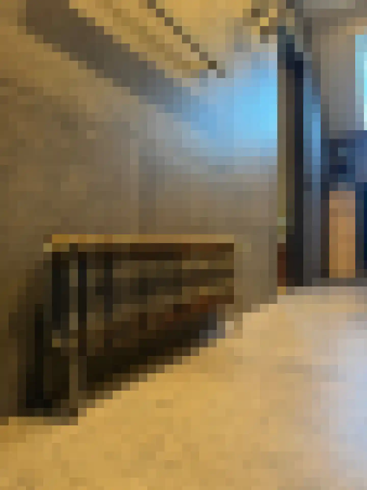Meeuwenweg 22 Zuidwolde thumbnail 64