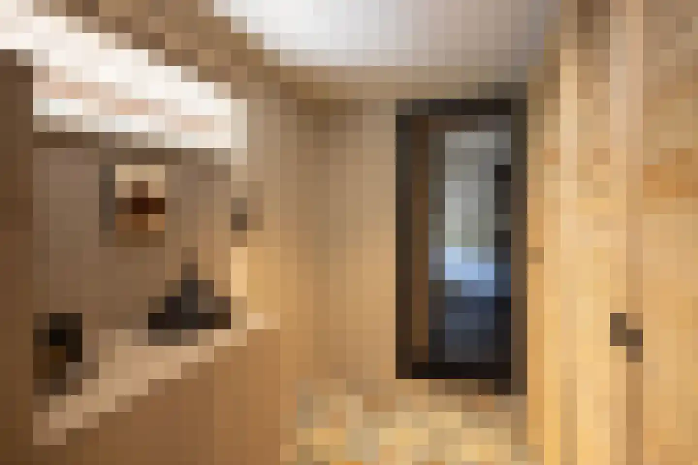 Meeuwenweg 22 Zuidwolde thumbnail 67