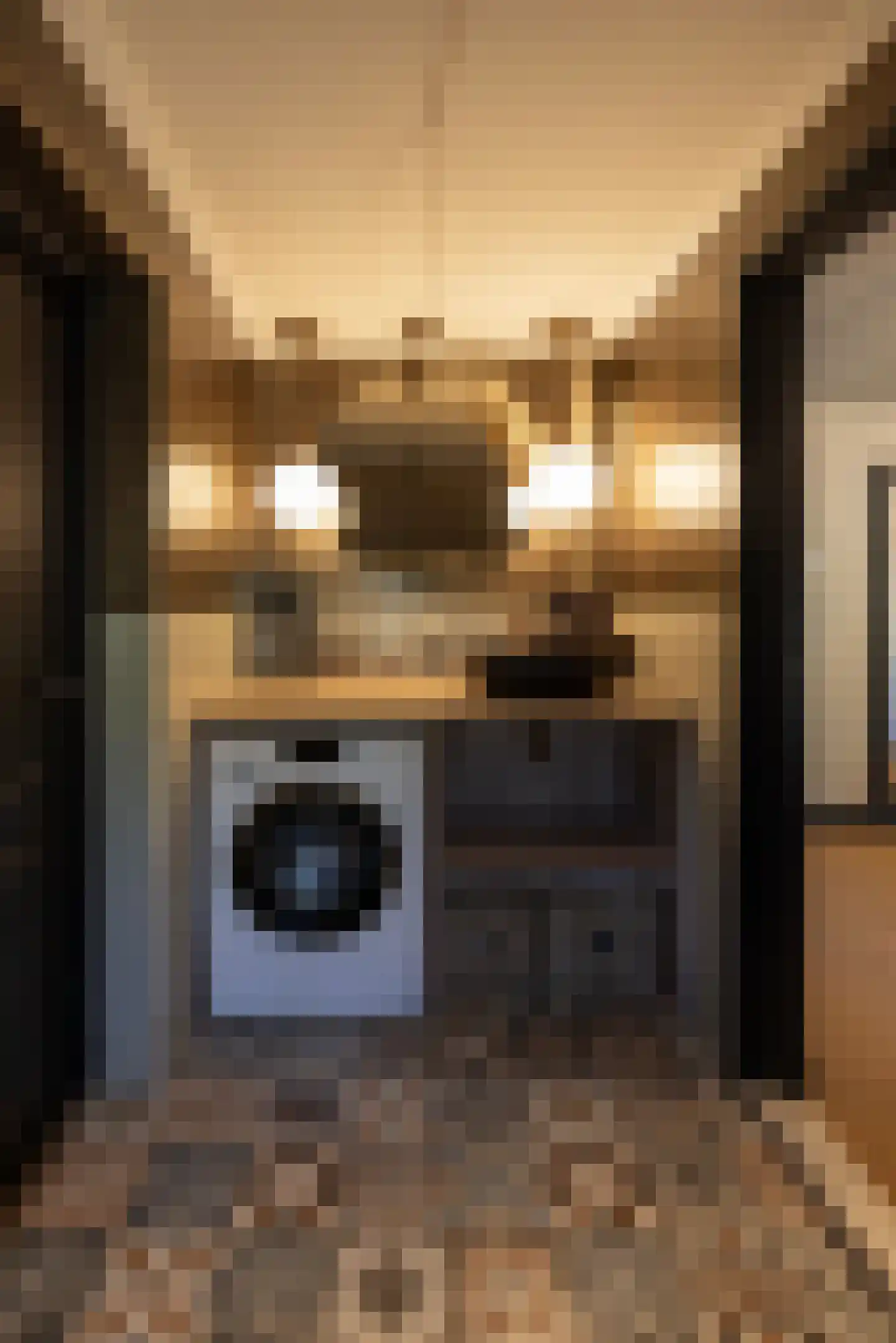 Meeuwenweg 22 Zuidwolde thumbnail 69