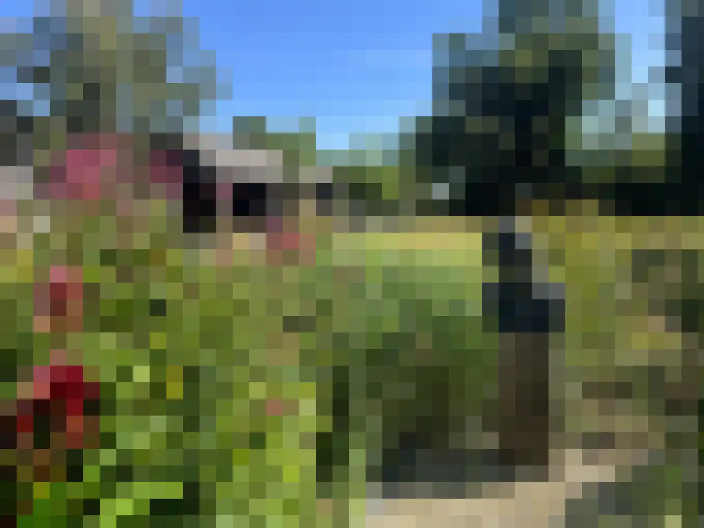 Meeuwenweg 22 Zuidwolde thumbnail 7