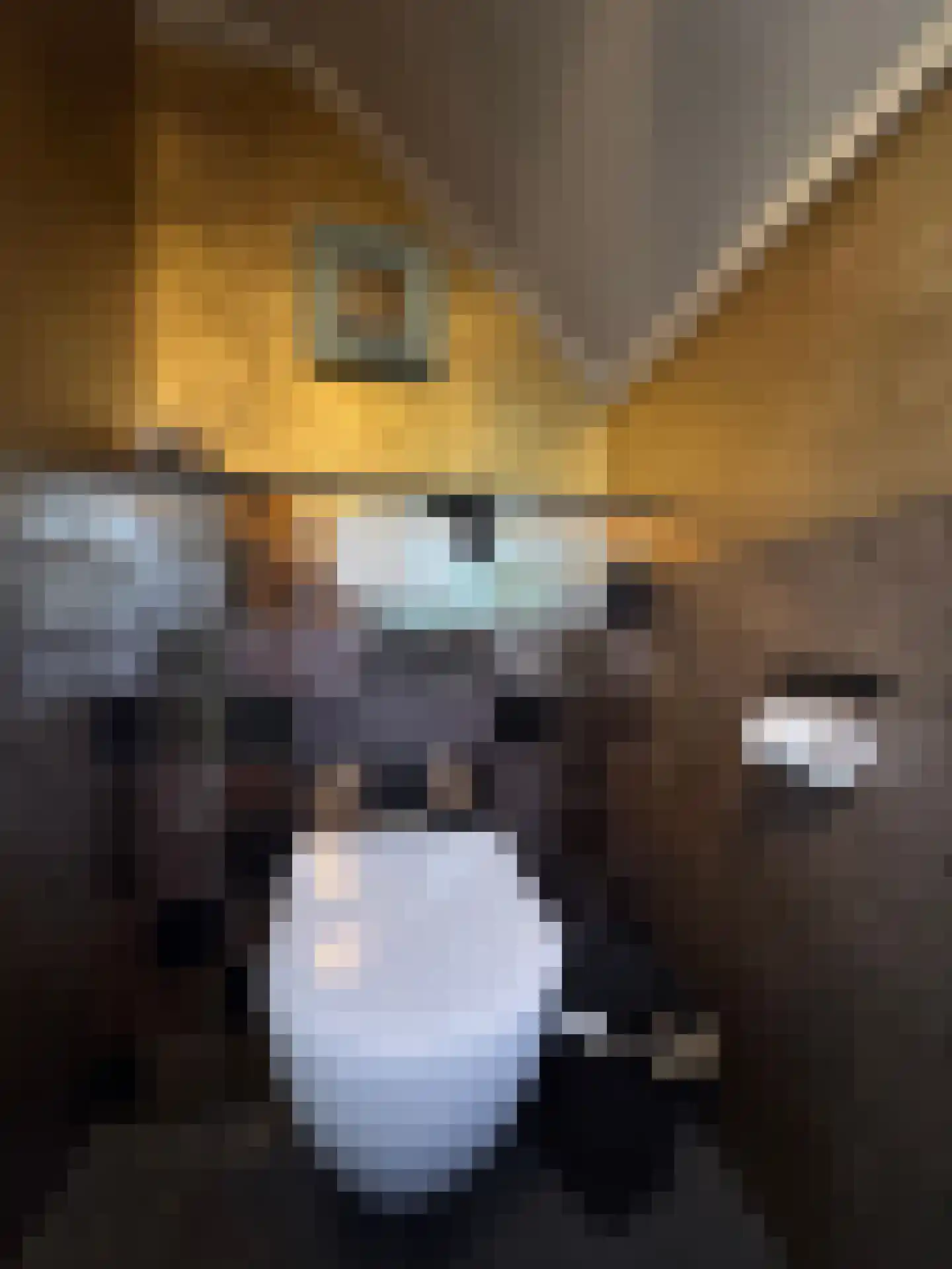 Meeuwenweg 22 Zuidwolde thumbnail 71