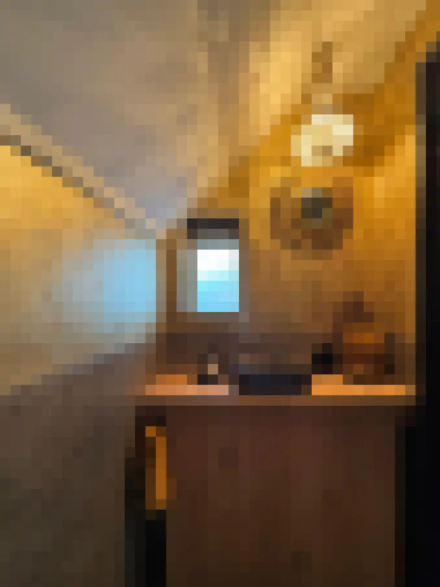 Meeuwenweg 22 Zuidwolde thumbnail 72