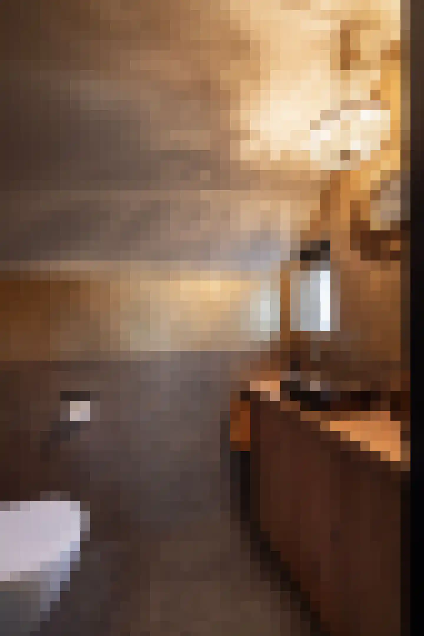 Meeuwenweg 22 Zuidwolde thumbnail 73