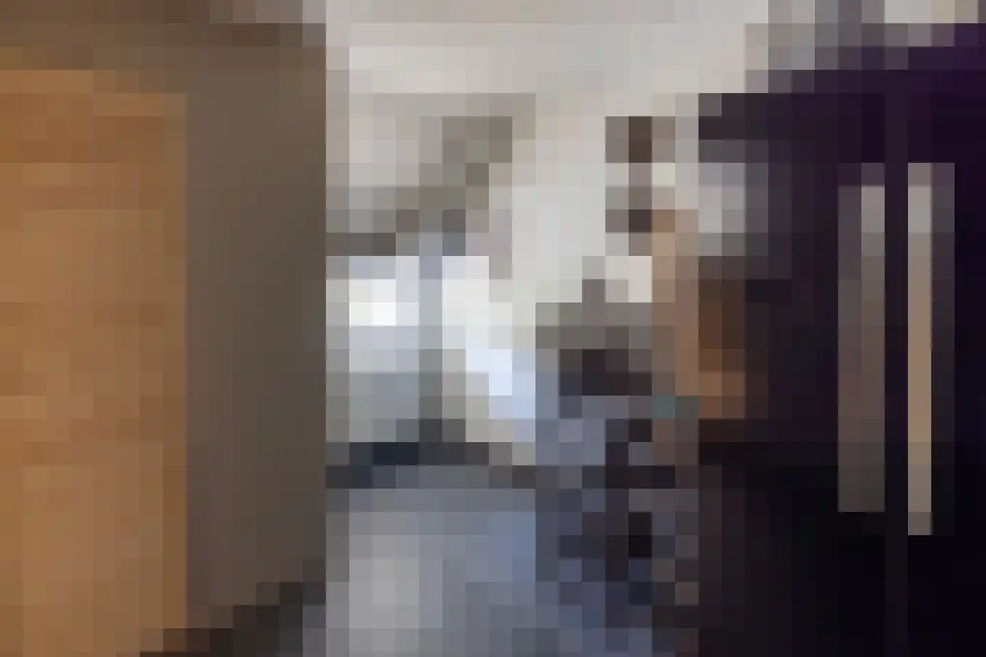 Meeuwenweg 22 Zuidwolde thumbnail 74