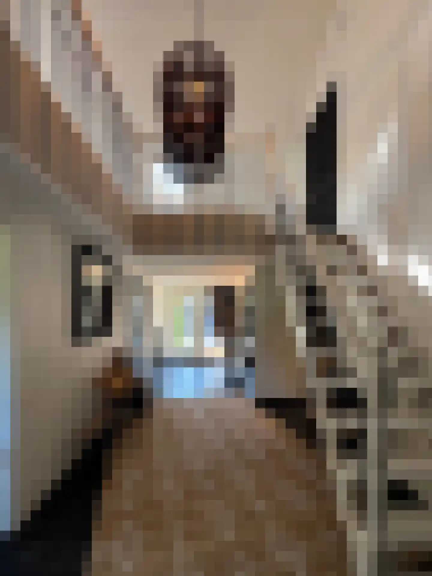 Meeuwenweg 22 Zuidwolde thumbnail 75