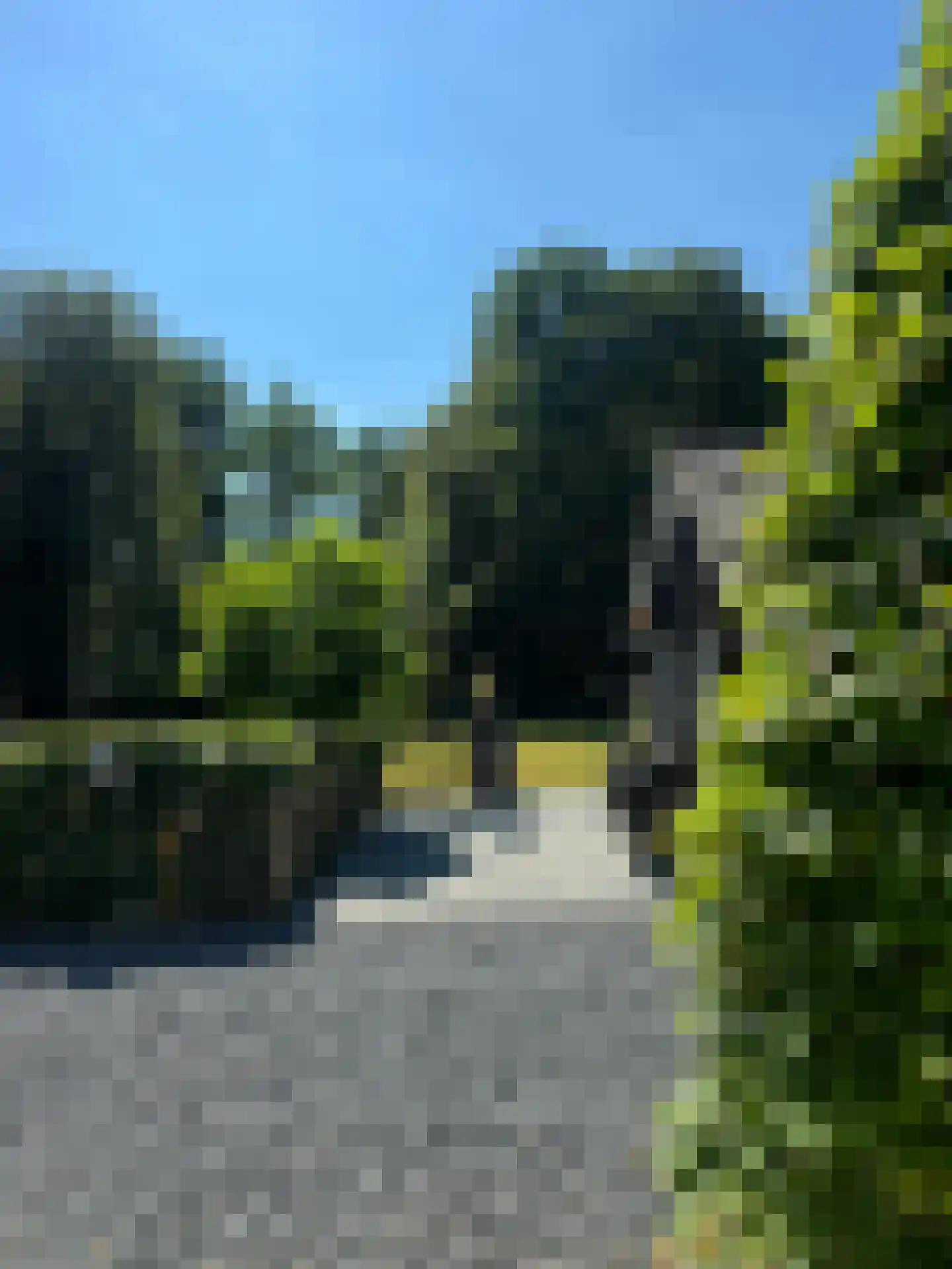 Meeuwenweg 22 Zuidwolde thumbnail 81