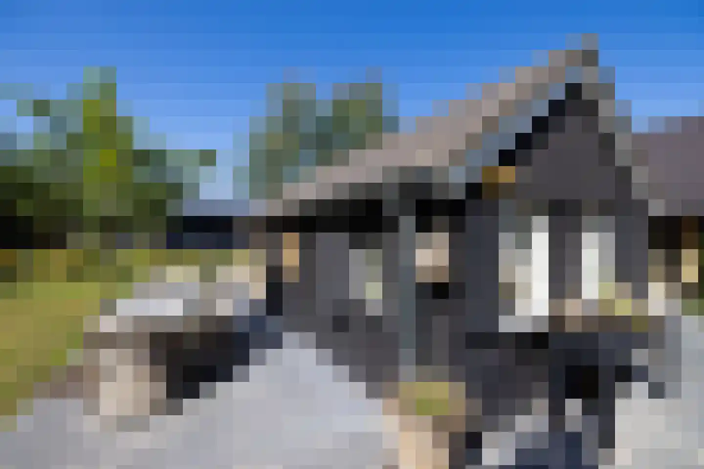 Meeuwenweg 22 Zuidwolde thumbnail 83