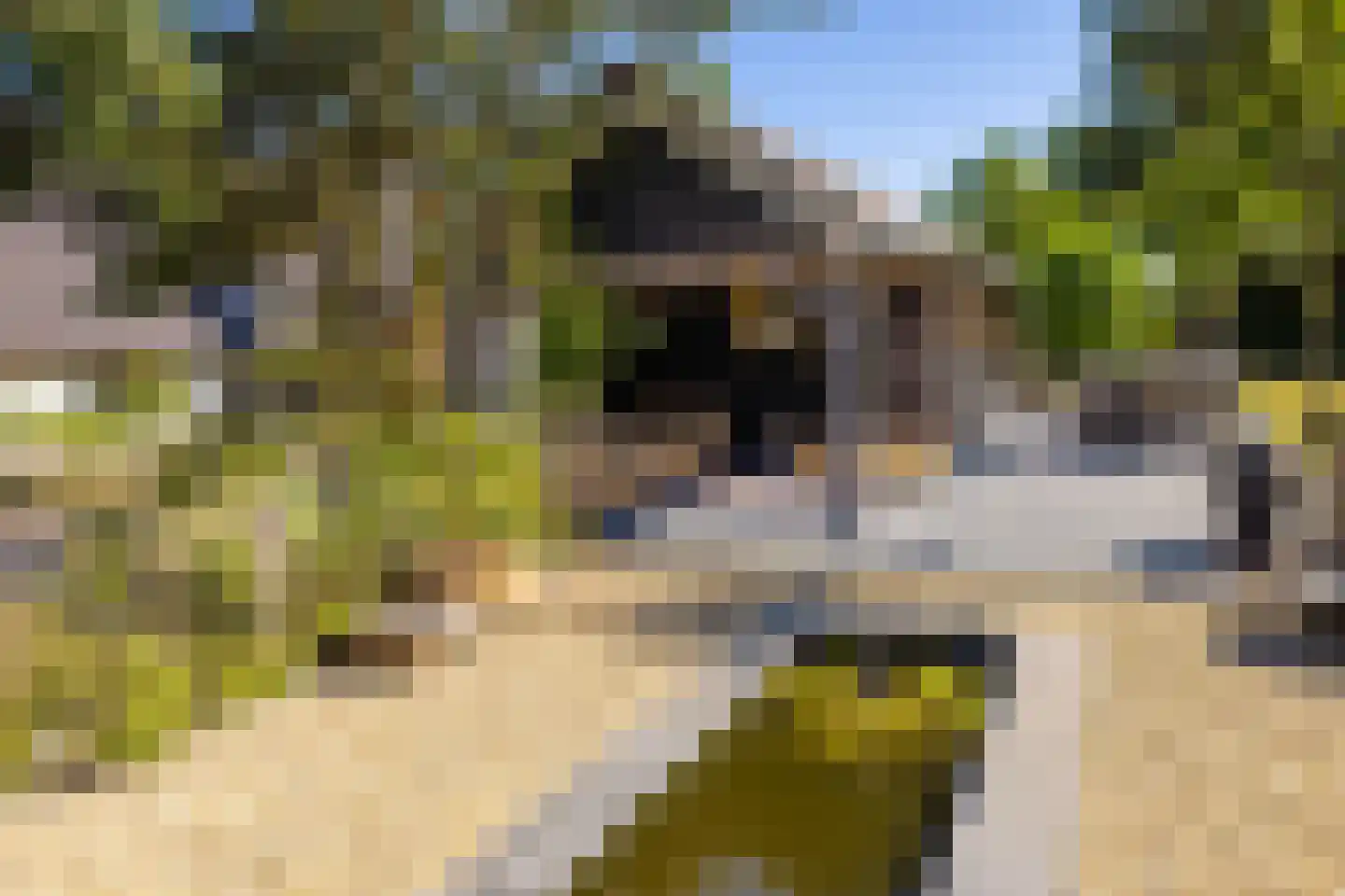 Meeuwenweg 22 Zuidwolde thumbnail 86