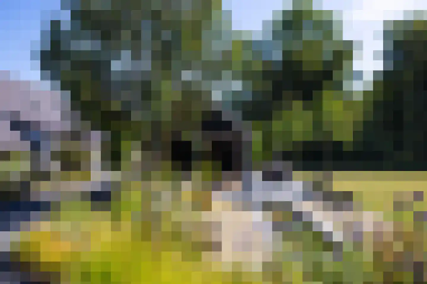 Meeuwenweg 22 Zuidwolde thumbnail 87