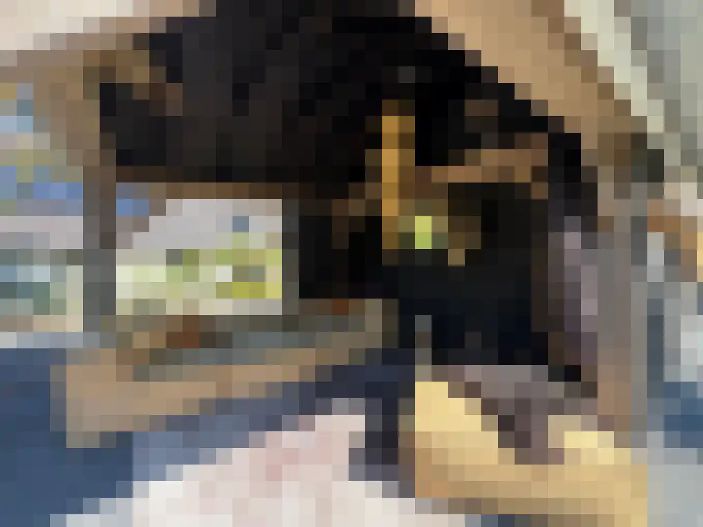Meeuwenweg 22 Zuidwolde thumbnail 88