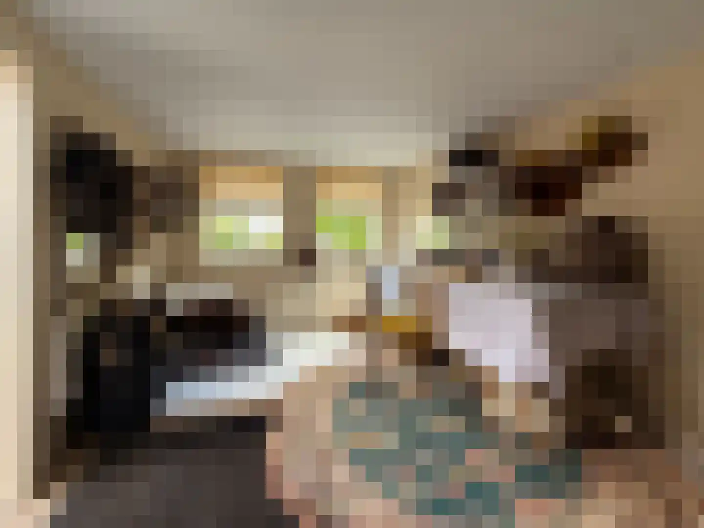 Meeuwenweg 22 Zuidwolde thumbnail 91