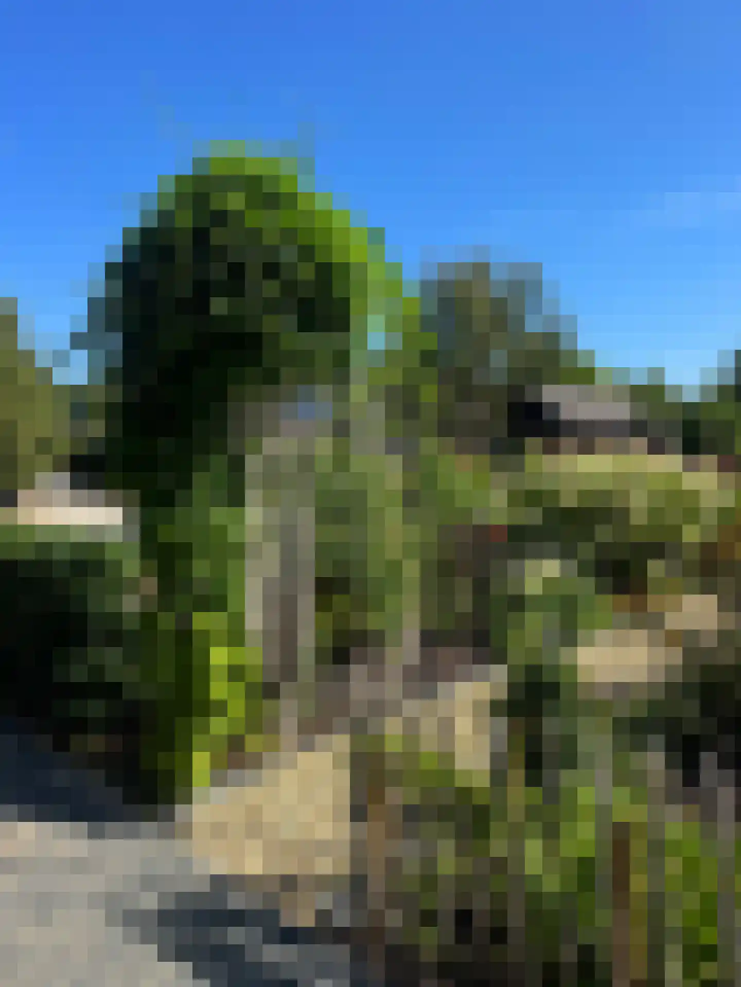 Meeuwenweg 22 Zuidwolde thumbnail 93