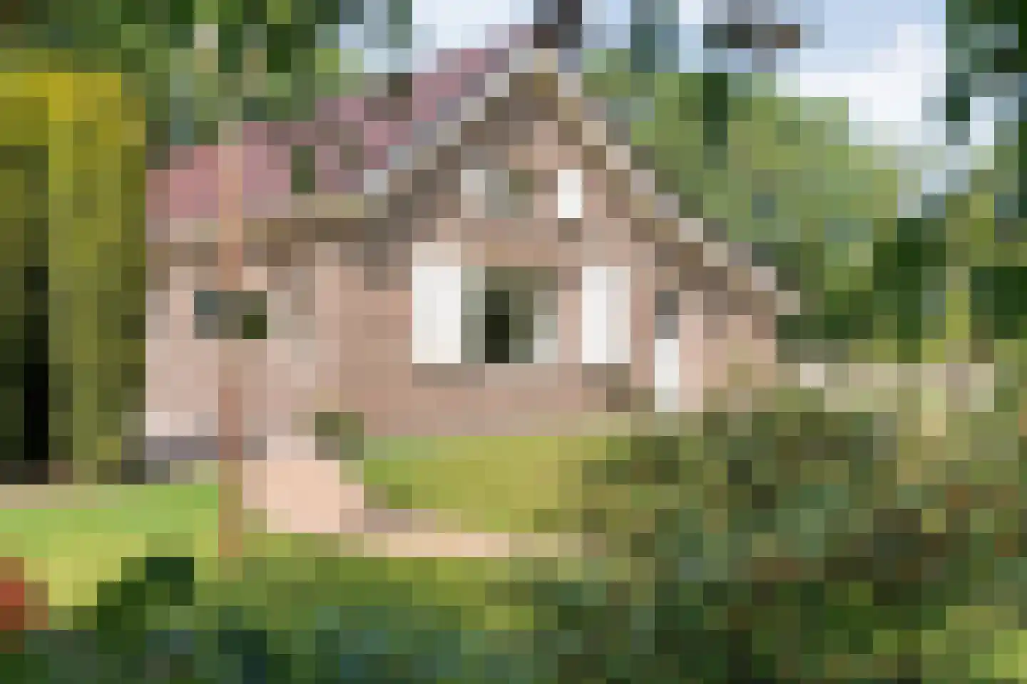 Meeuwenweg 23 Nieuw-Balinge thumbnail 10