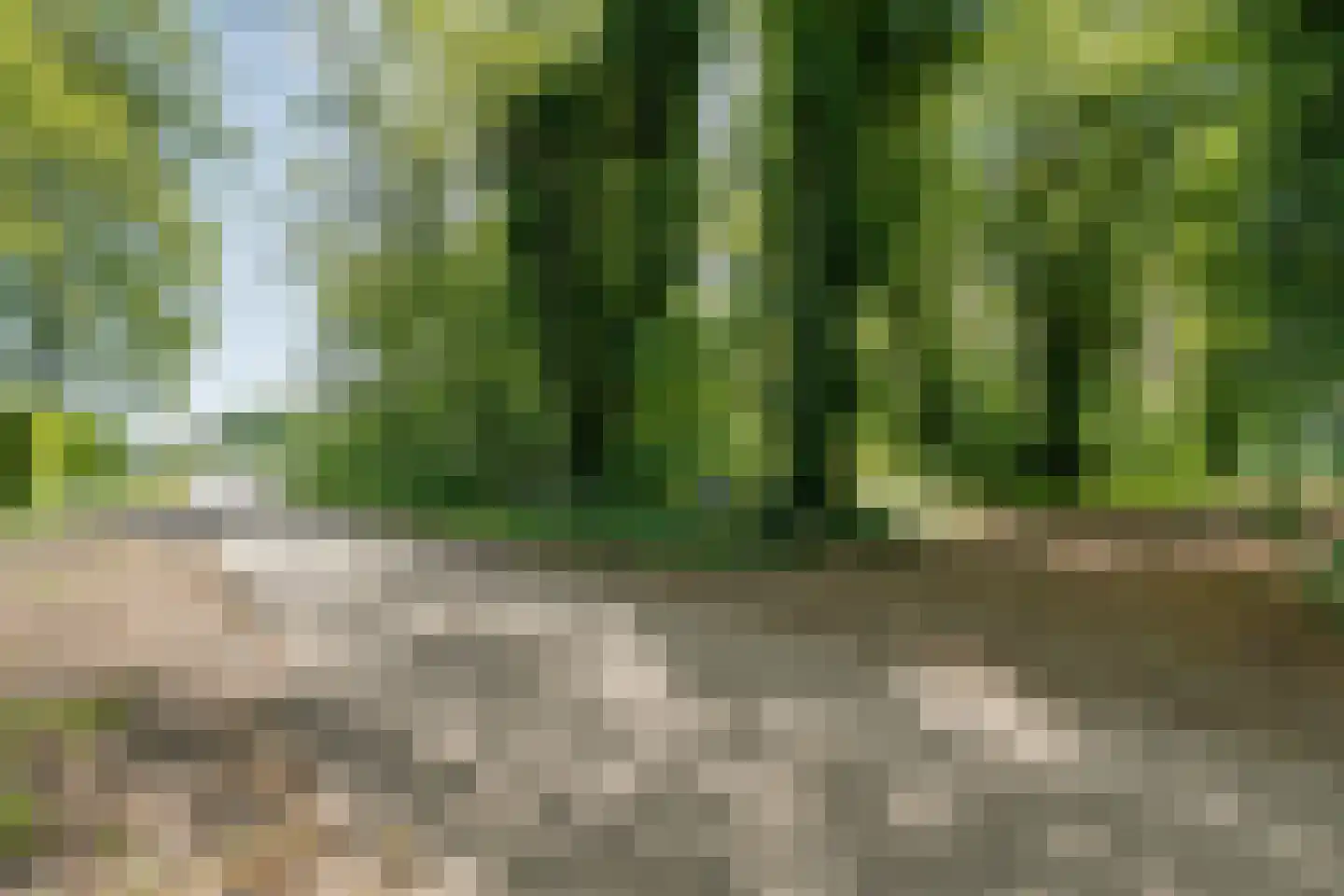 Meeuwenweg 23 Nieuw-Balinge thumbnail 11