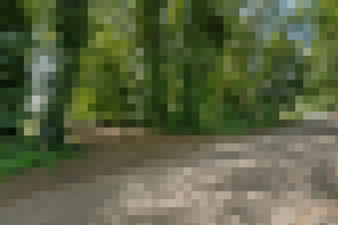 Meeuwenweg 23 Nieuw-Balinge thumbnail 12