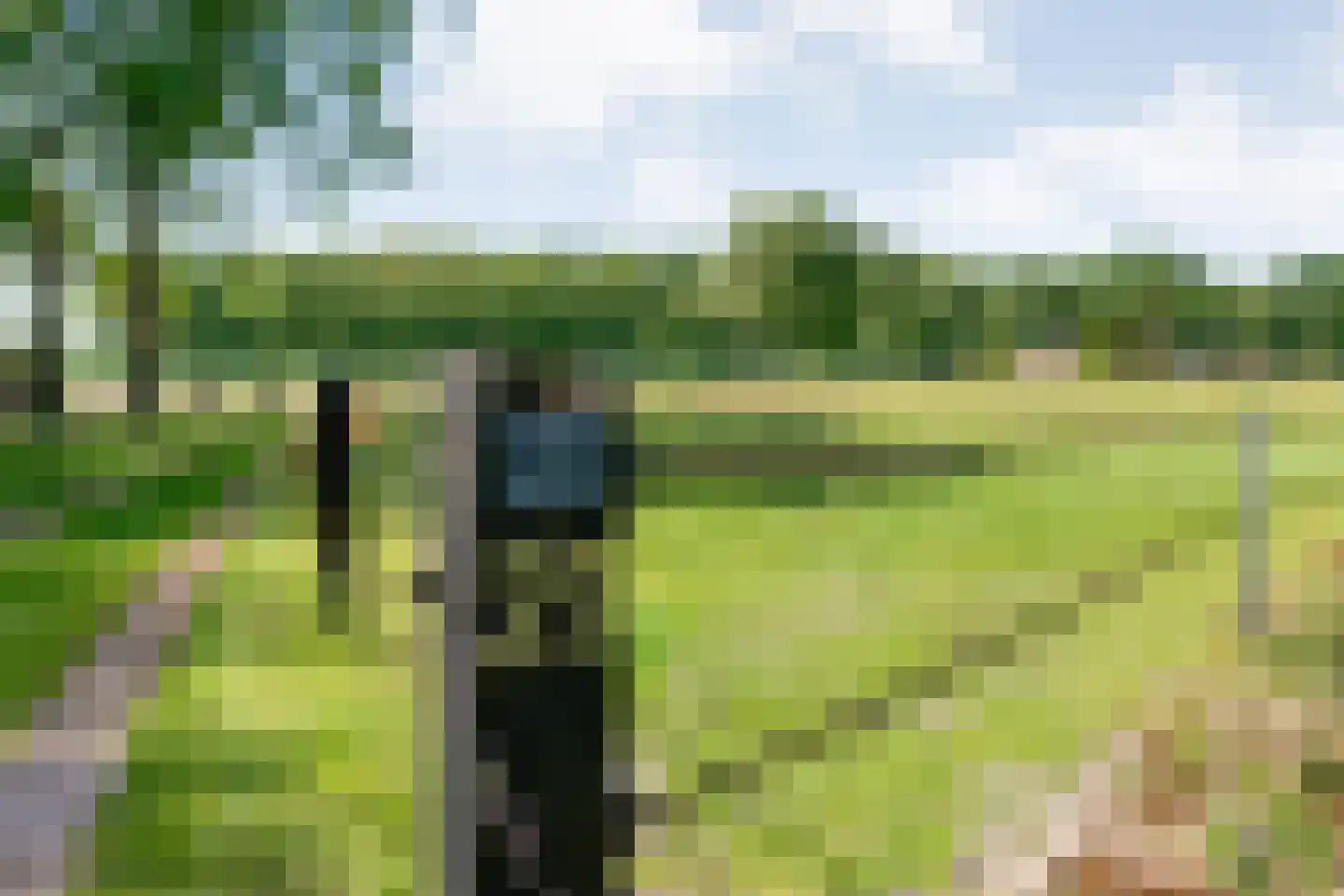 Meeuwenweg 23 Nieuw-Balinge thumbnail 13