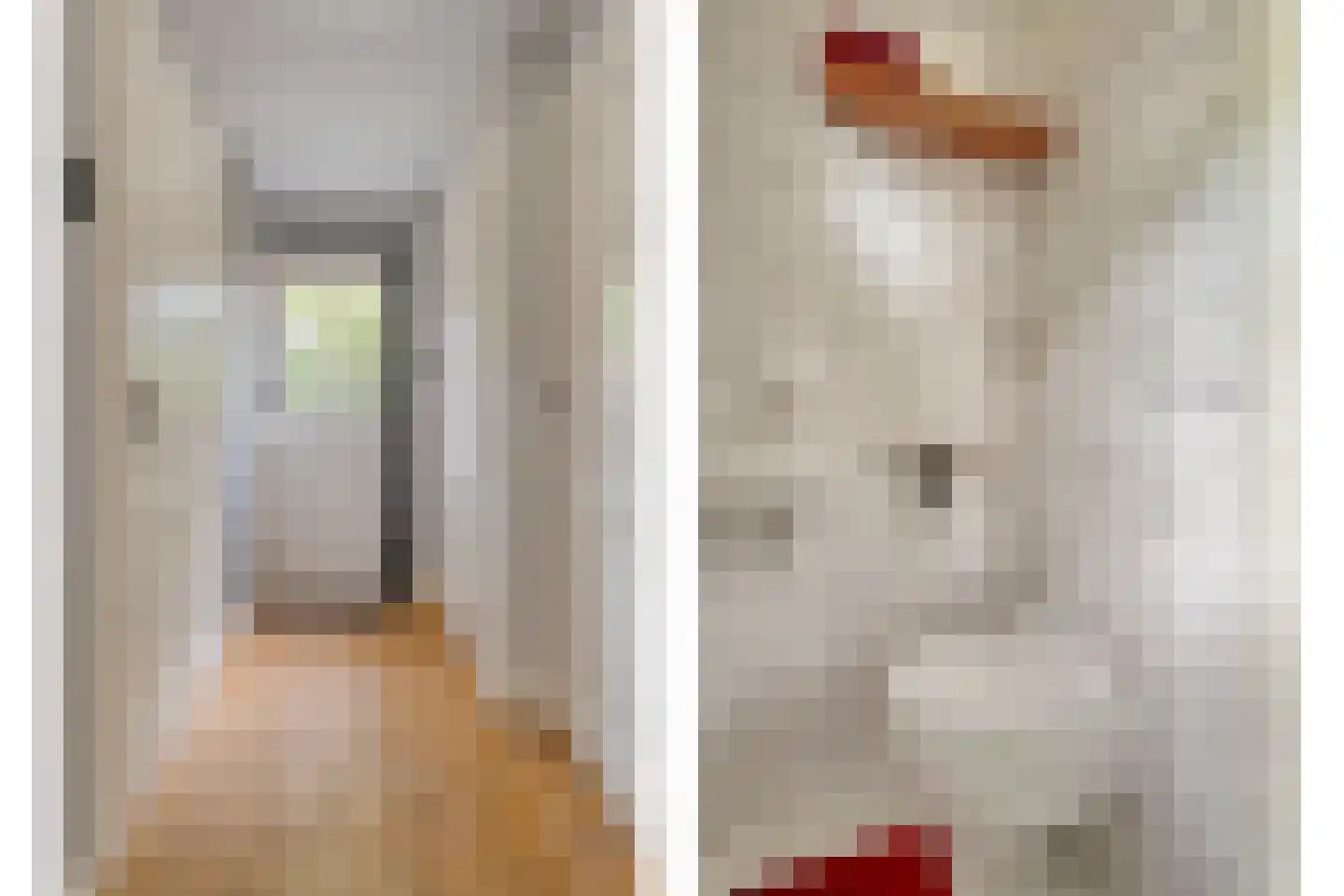 Meeuwenweg 23 Nieuw-Balinge thumbnail 19