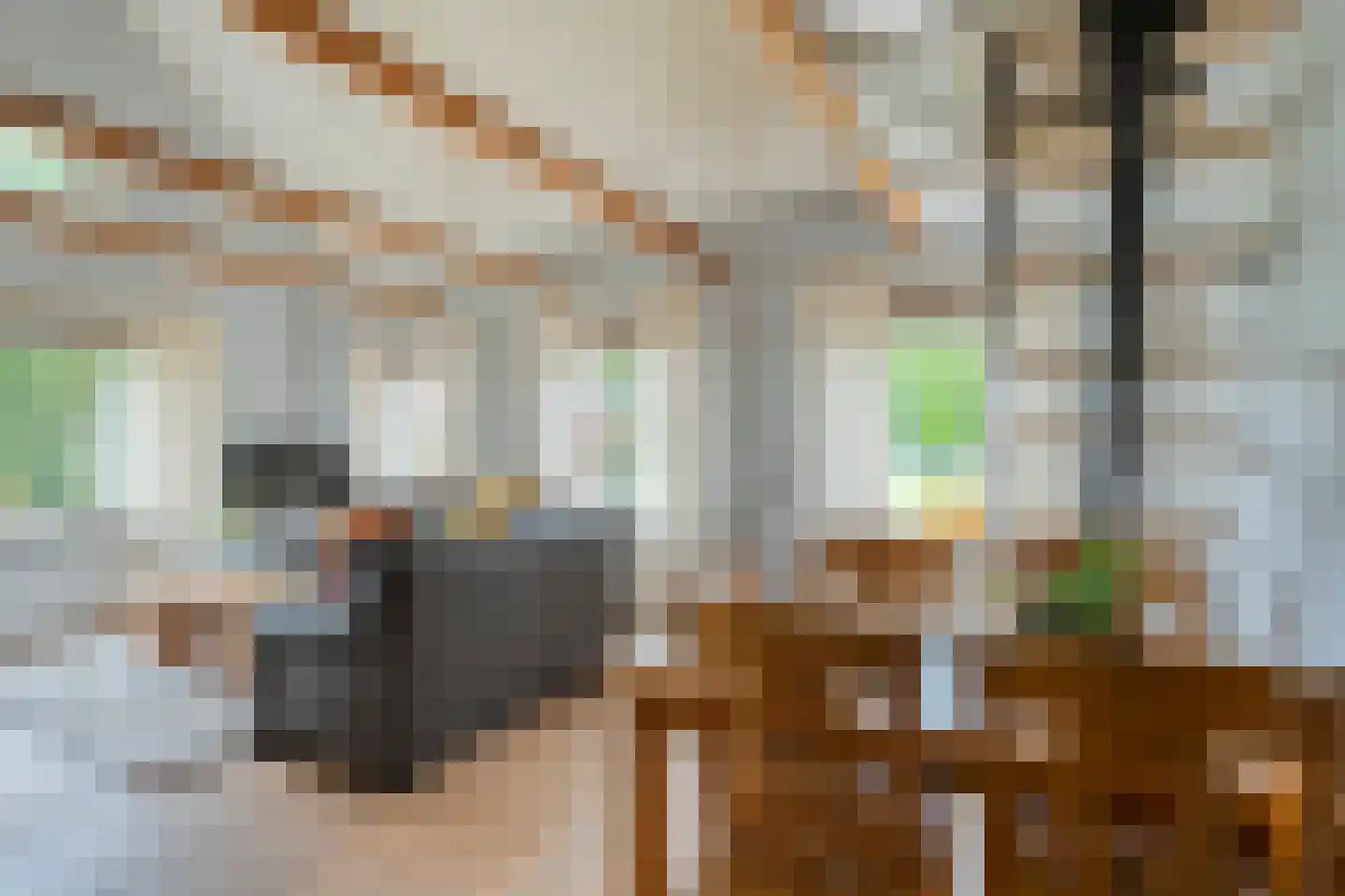 Meeuwenweg 23 Nieuw-Balinge thumbnail 21