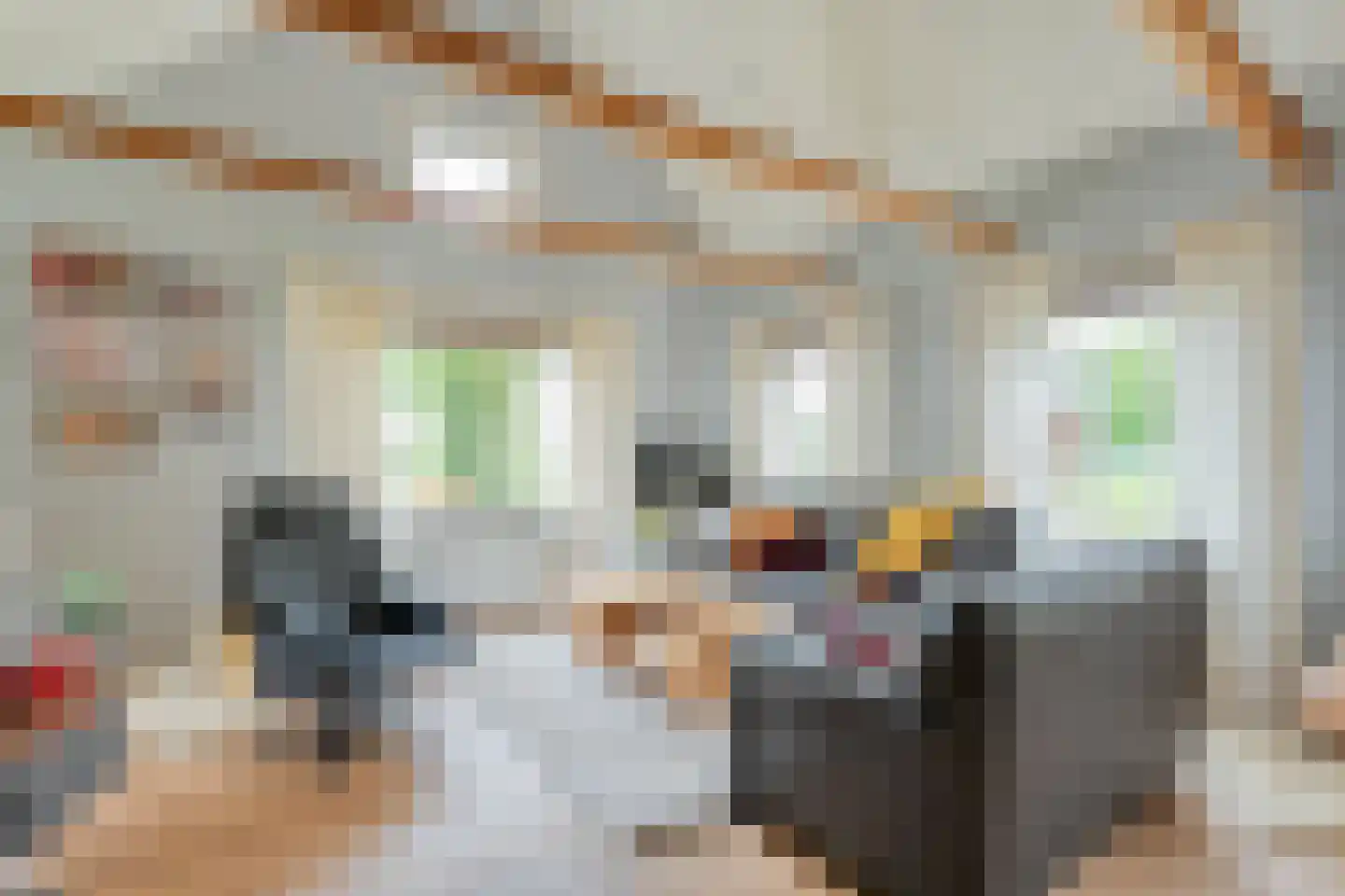 Meeuwenweg 23 Nieuw-Balinge thumbnail 22