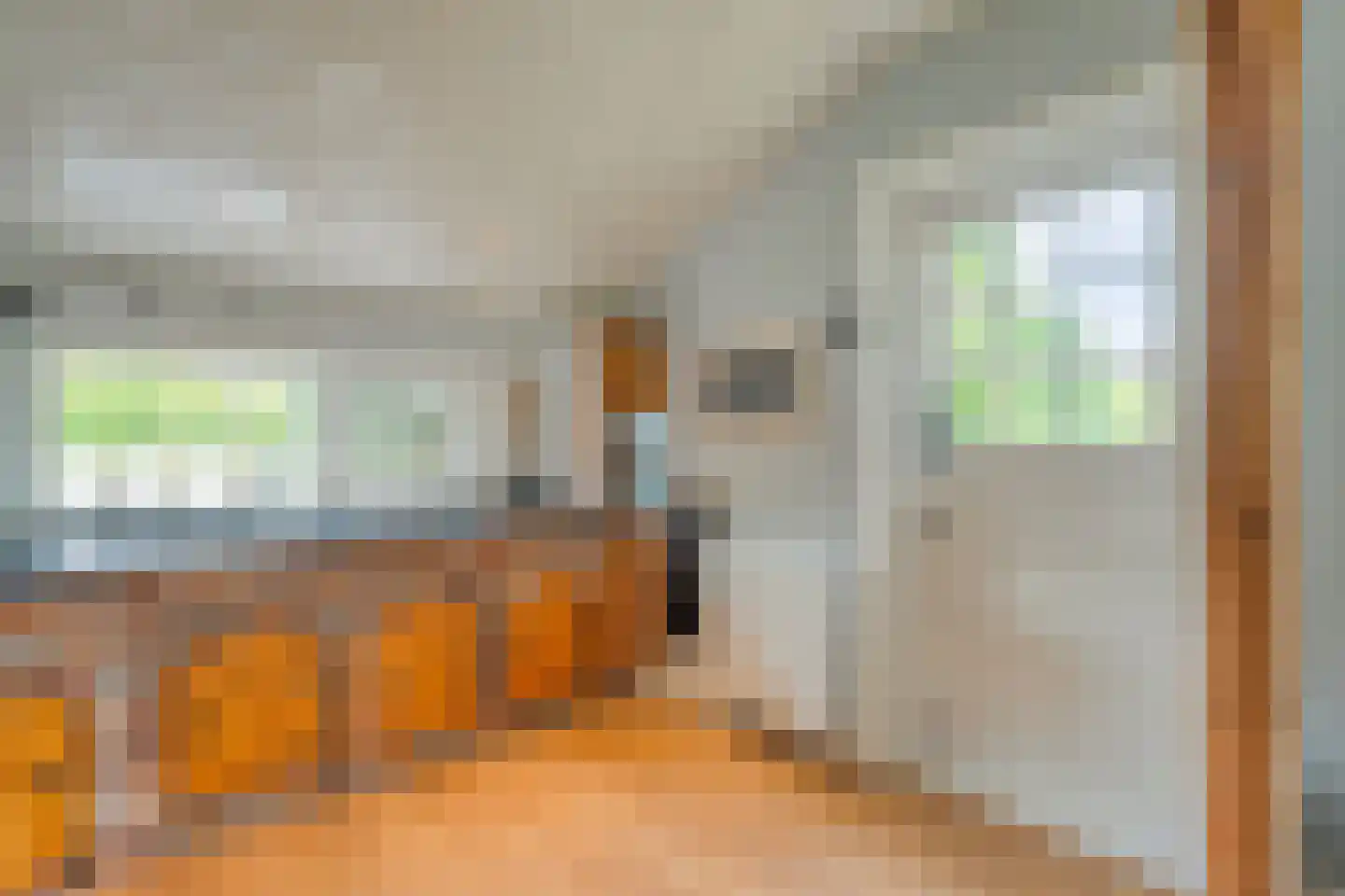 Meeuwenweg 23 Nieuw-Balinge thumbnail 26