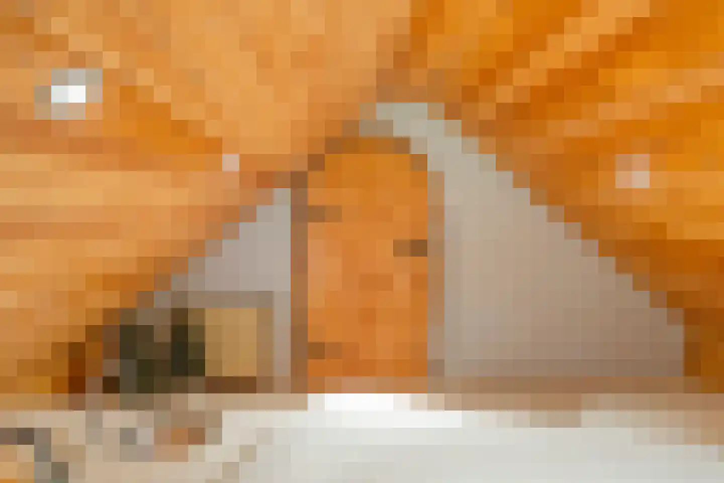 Meeuwenweg 23 Nieuw-Balinge thumbnail 30