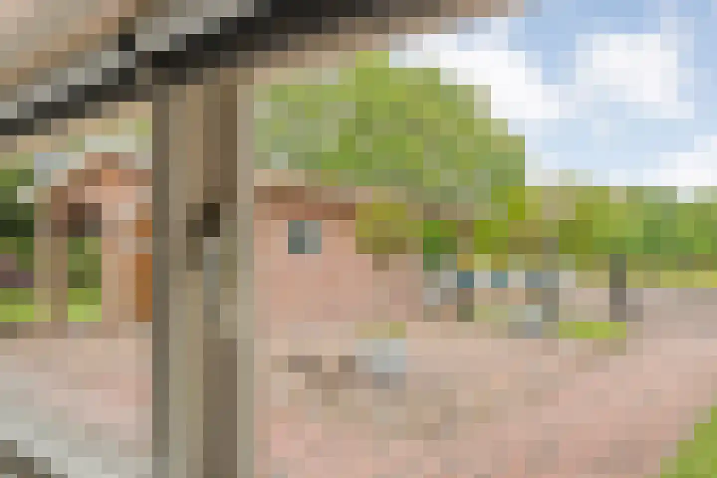 Meeuwenweg 23 Nieuw-Balinge thumbnail 33