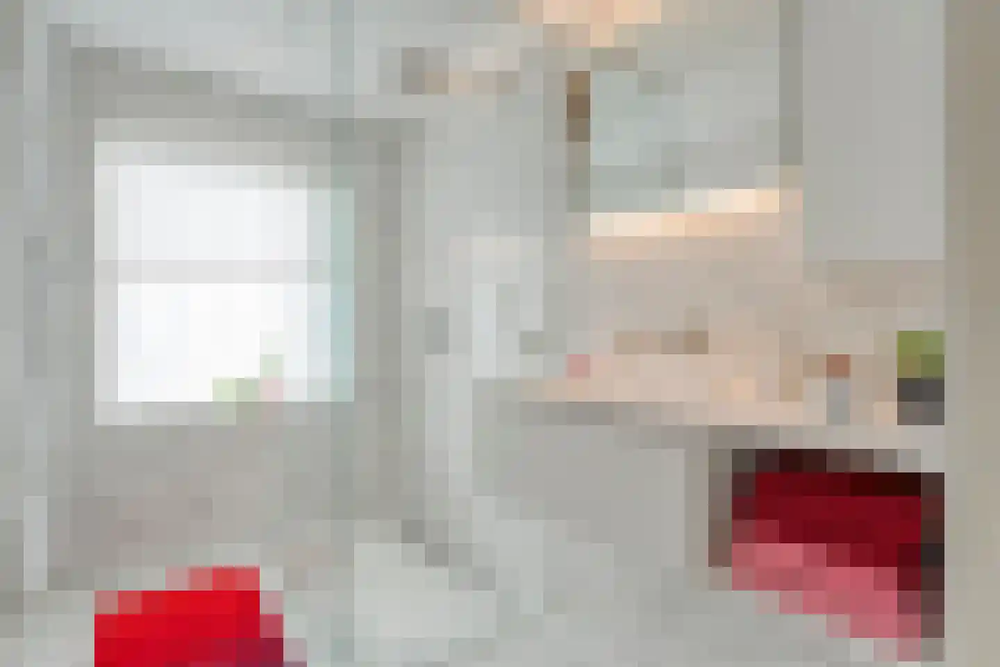 Meeuwenweg 23 Nieuw-Balinge thumbnail 34