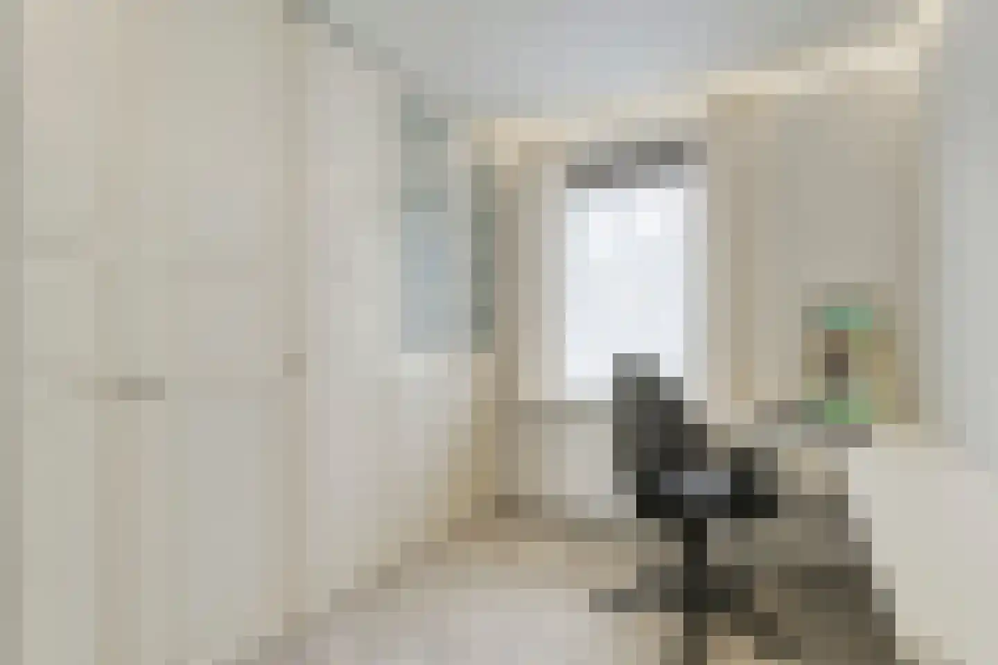 Meeuwenweg 23 Nieuw-Balinge thumbnail 36