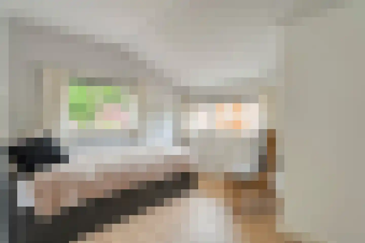 Meeuwenweg 23 Nieuw-Balinge thumbnail 38