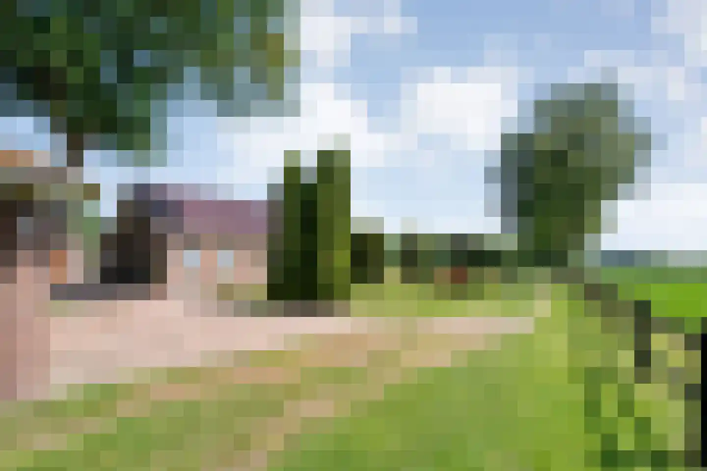 Meeuwenweg 23 Nieuw-Balinge thumbnail 40