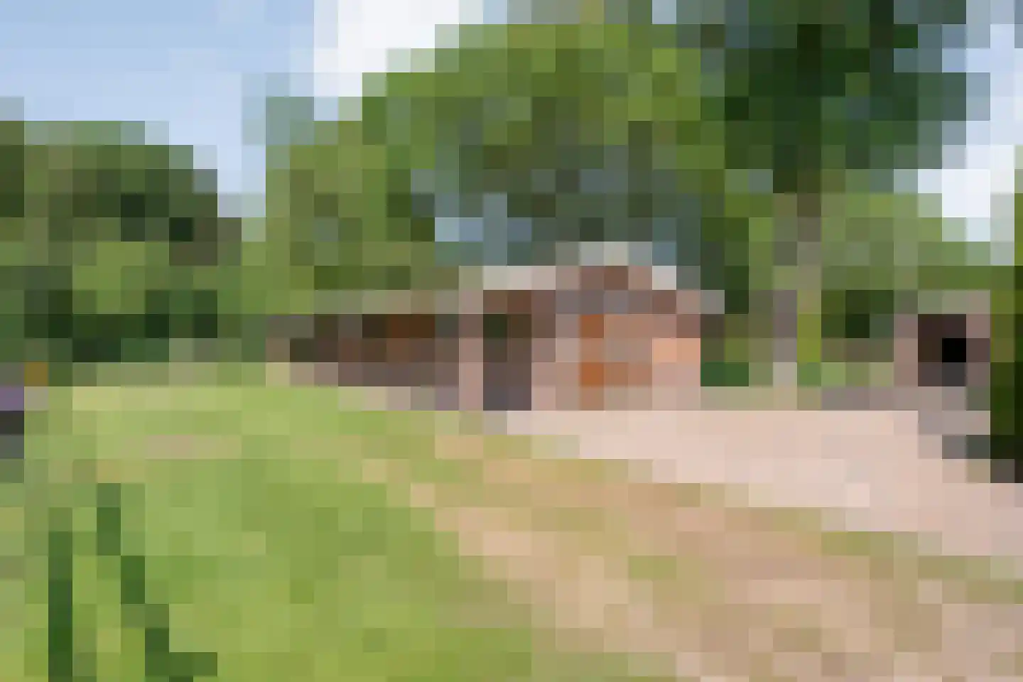 Meeuwenweg 23 Nieuw-Balinge thumbnail 41