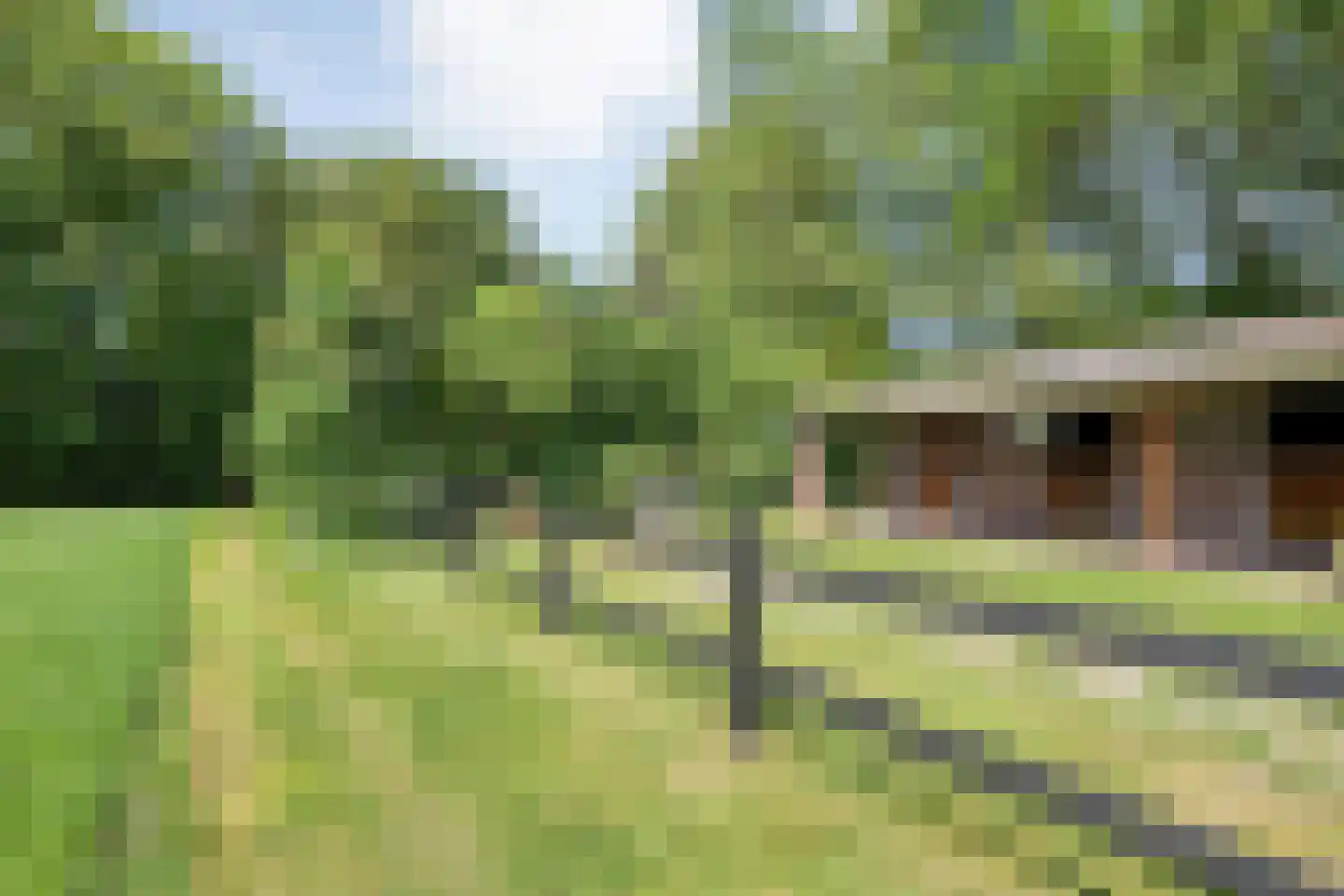 Meeuwenweg 23 Nieuw-Balinge thumbnail 42