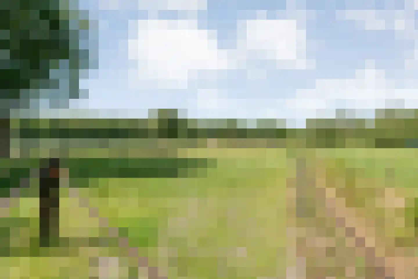 Meeuwenweg 23 Nieuw-Balinge thumbnail 43