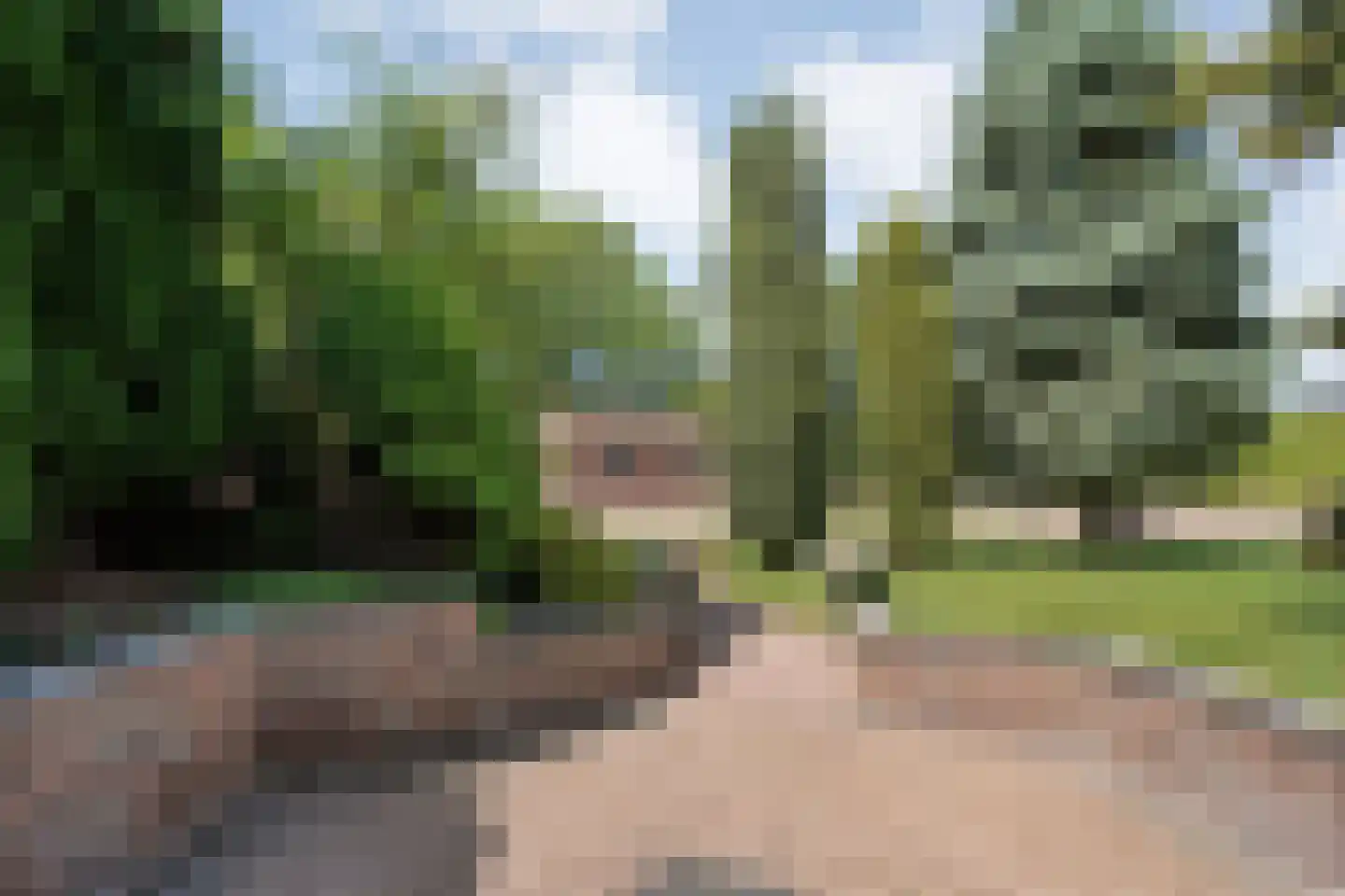 Meeuwenweg 23 Nieuw-Balinge thumbnail 44