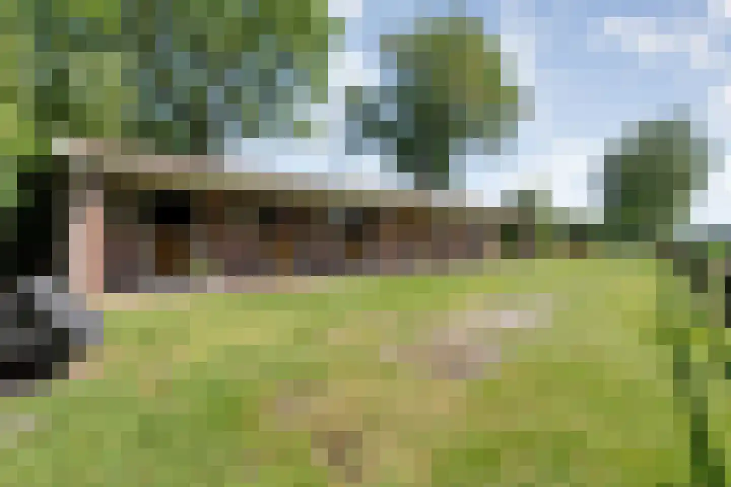 Meeuwenweg 23 Nieuw-Balinge thumbnail 45