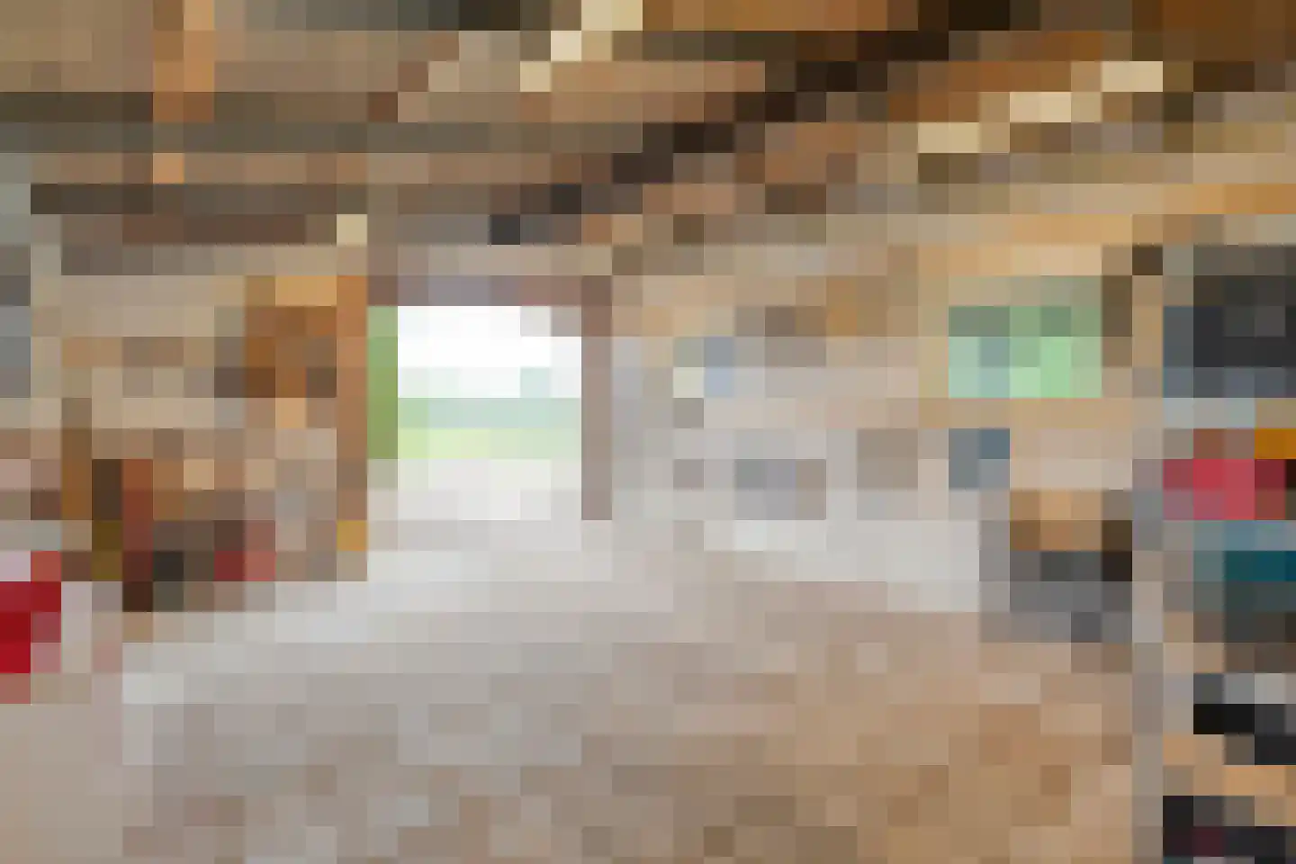 Meeuwenweg 23 Nieuw-Balinge thumbnail 46