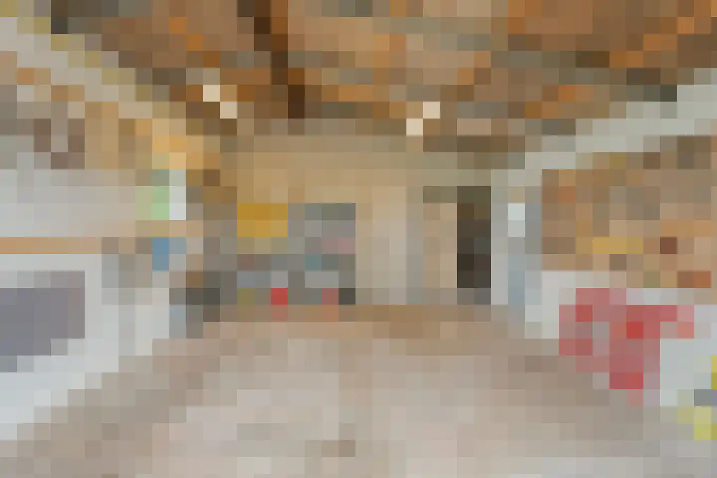 Meeuwenweg 23 Nieuw-Balinge thumbnail 47