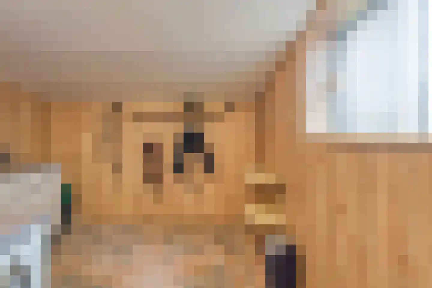 Meeuwenweg 23 Nieuw-Balinge thumbnail 49