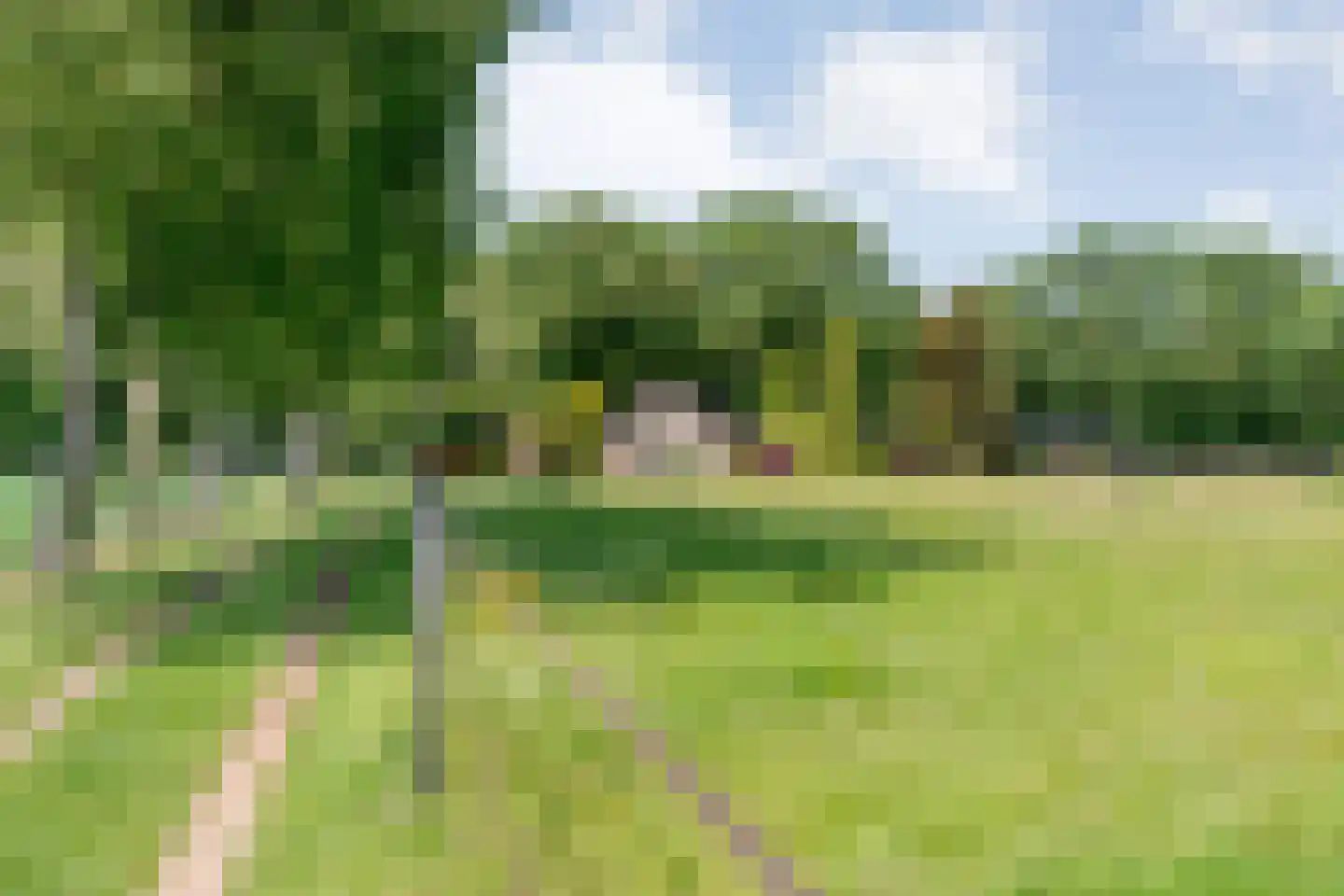Meeuwenweg 23 Nieuw-Balinge thumbnail 5