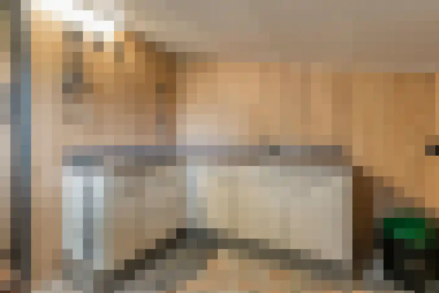 Meeuwenweg 23 Nieuw-Balinge thumbnail 50