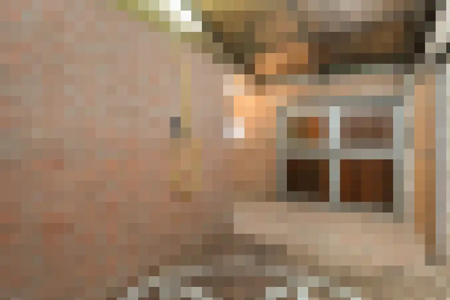 Meeuwenweg 23 Nieuw-Balinge thumbnail 54