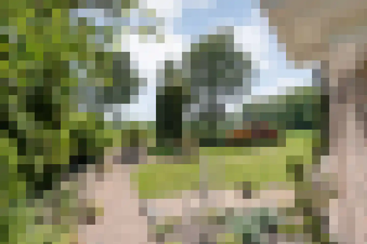 Meeuwenweg 23 Nieuw-Balinge thumbnail 58