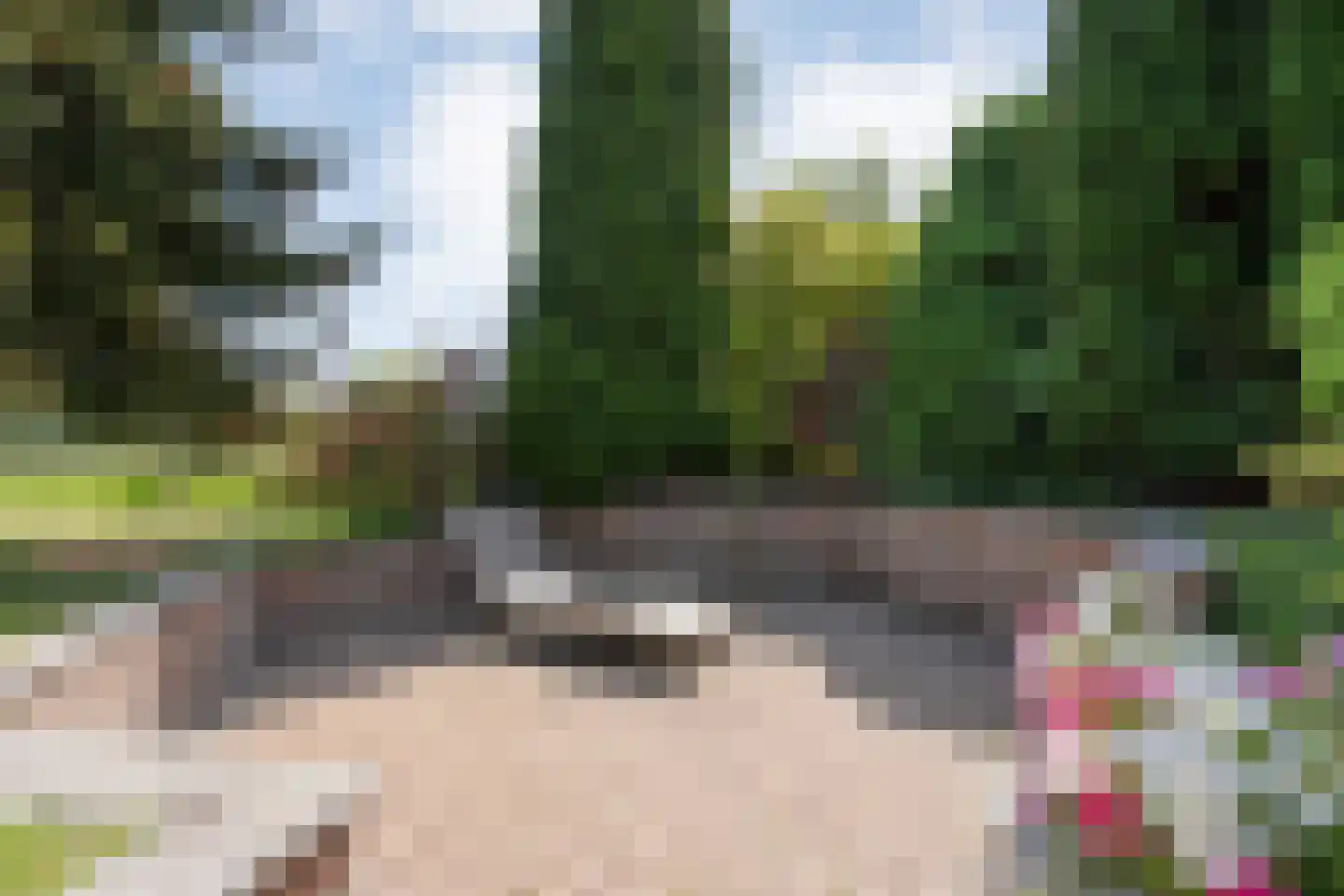 Meeuwenweg 23 Nieuw-Balinge thumbnail 59