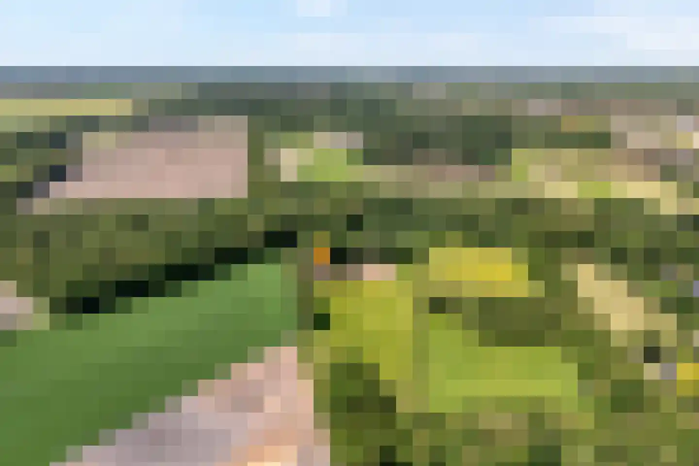 Meeuwenweg 23 Nieuw-Balinge thumbnail 6