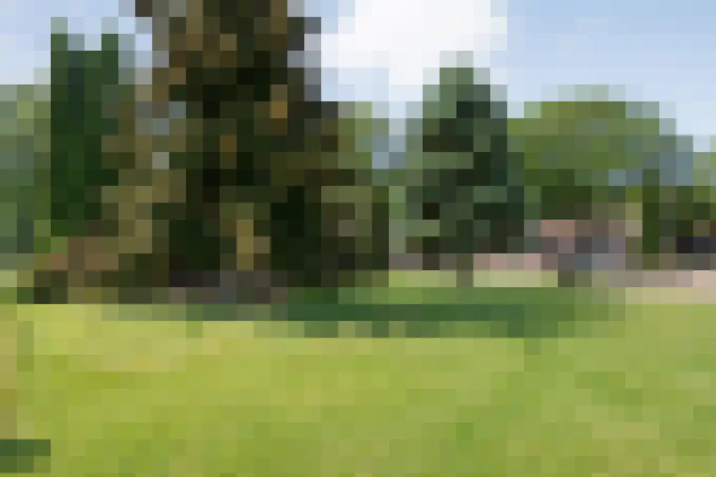 Meeuwenweg 23 Nieuw-Balinge thumbnail 60
