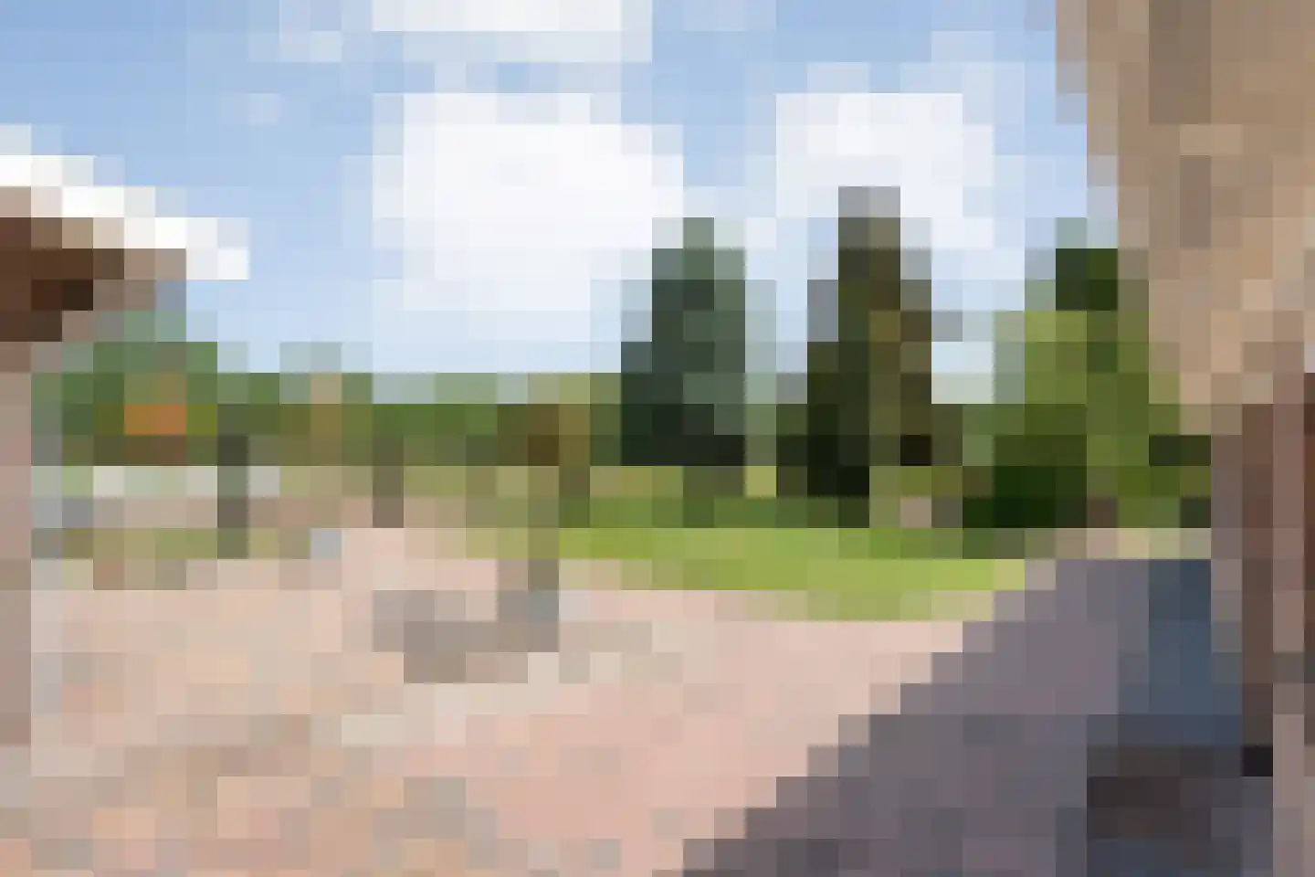 Meeuwenweg 23 Nieuw-Balinge thumbnail 61